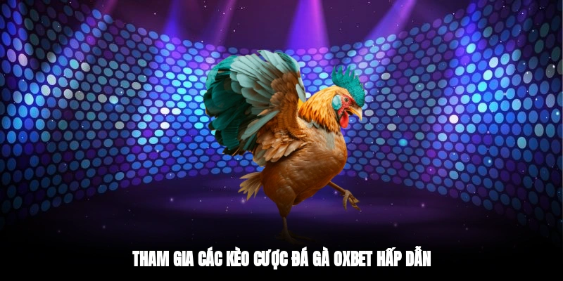 Tham gia các kèo cược đá gà OXBET hấp dẫn 